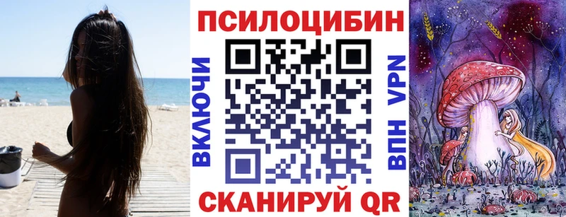 дарк нет наркотические препараты  купить наркотики цена  Красково  Псилоцибиновые грибы Cubensis 